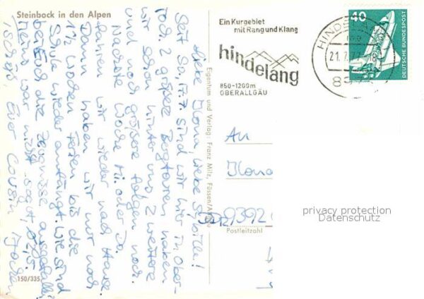 Steinbock Alpen – Bild 2