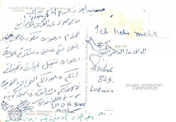 Kamel  Camel Chameau Hiswa Village – Bild 2