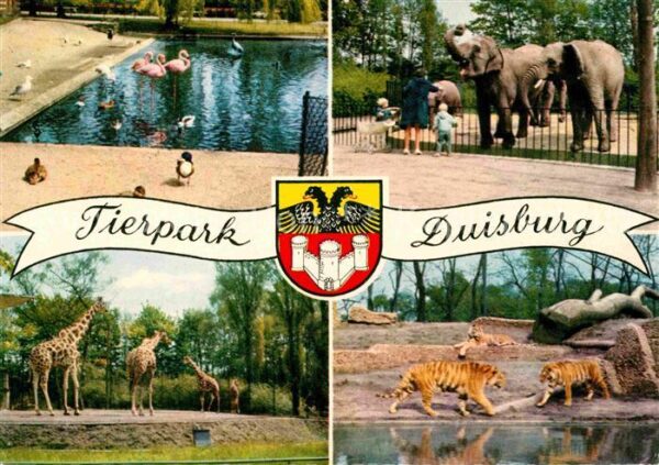 Zoo Tierpark Duisburg Flamingo Elefant Gira