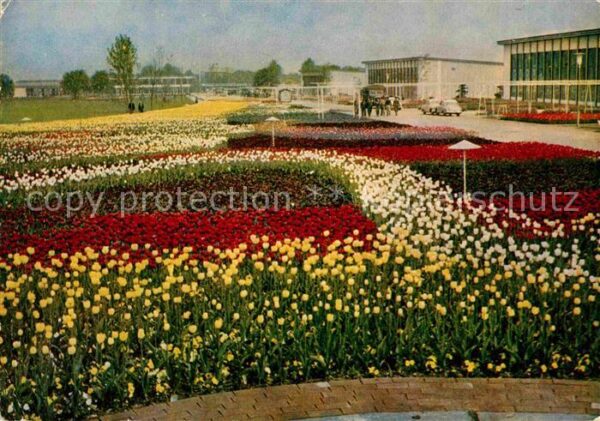 Gartenbauaustellung Erfurt Blumenbeet