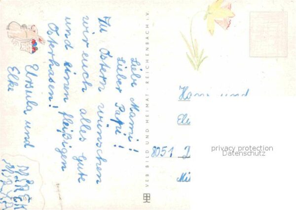 Reh Rehkitz – Bild 2