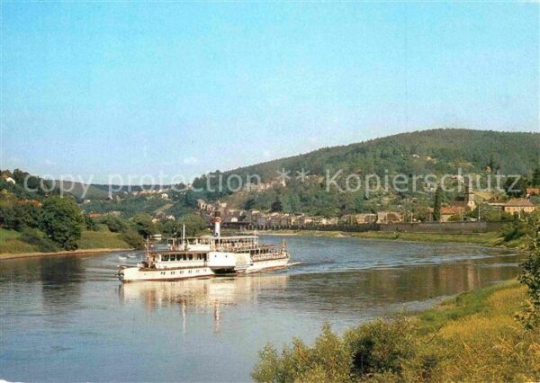 Dampfer Seitenrad Weltfrieden Weisse Flotte Dresden