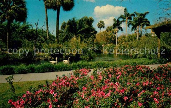 Tampa Florida Busch-Gardens