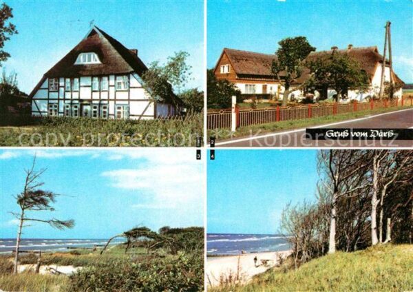 Wieck Darss Born Weststrand