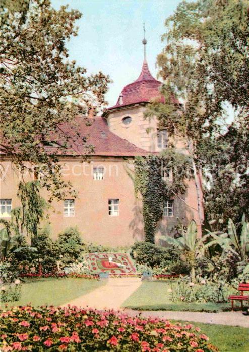 Zittau Blumenuhr