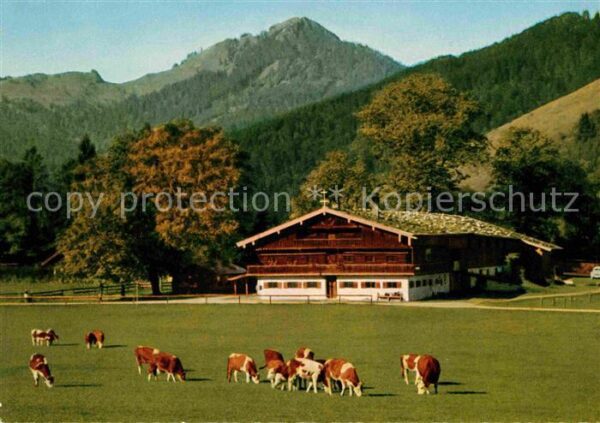 Bad Wiessee Gasthaus Bauer in der Au
