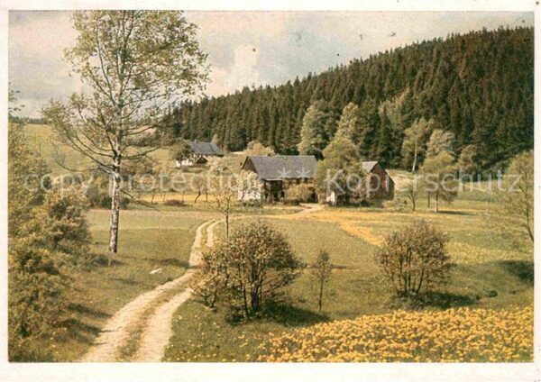 Altenberg Erzgebirge Gehöfte in Hirschsprung