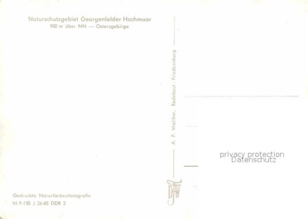 Georgenfeld Hochmoor – Bild 2