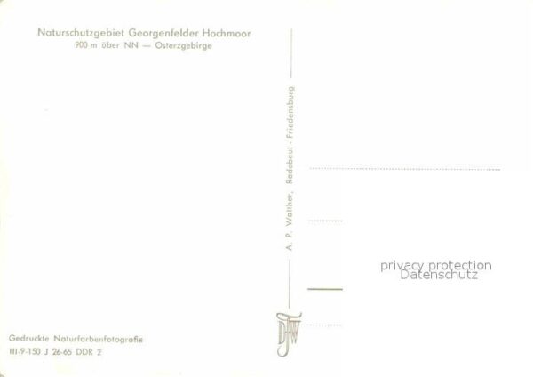 Georgenfeld Hochmoor – Bild 2