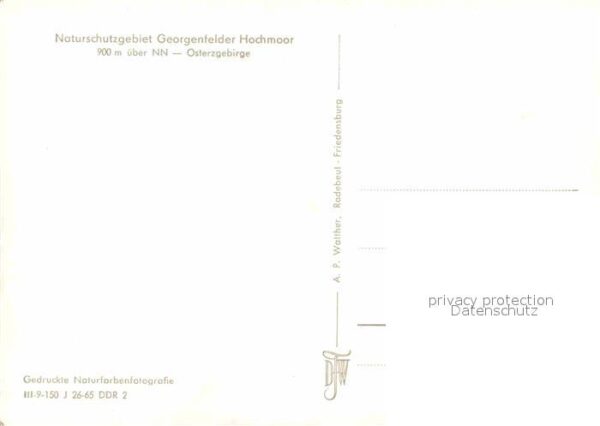 Georgenfeld Hochmoor – Bild 2