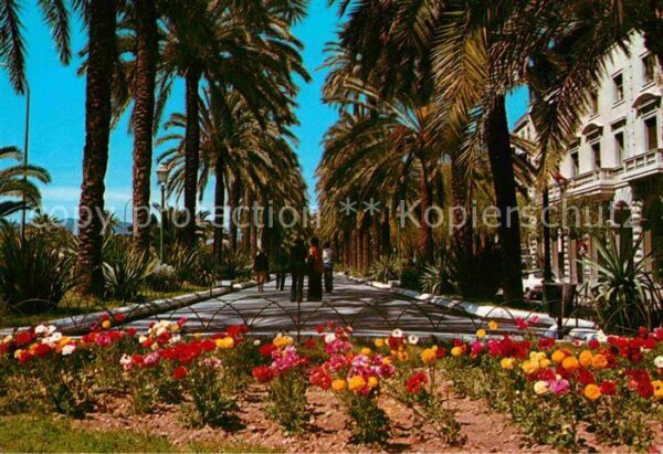 Palma de Mallorca Paseo Sagrera
