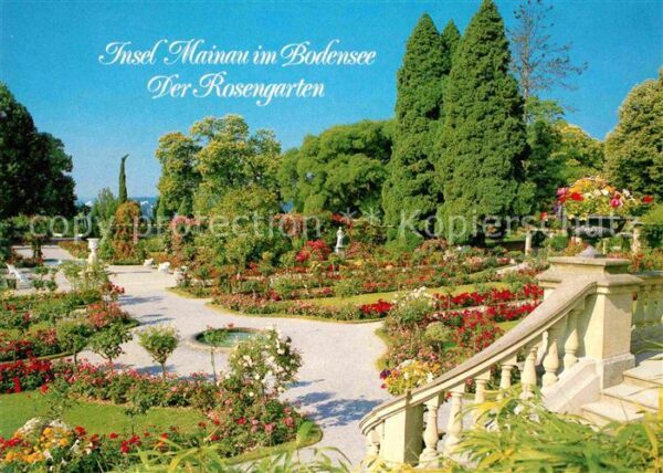 Insel Mainau Rosengarten