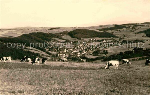 Geising Erzgebirge Panorama Viehweide Kühe