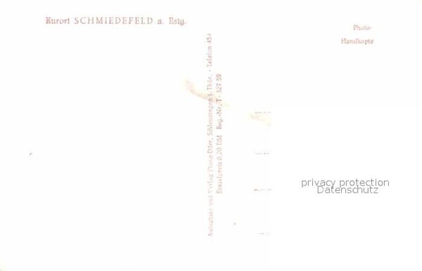 Schmiedefeld Rennsteig Viehtrieb Kühe Kurort – Bild 2