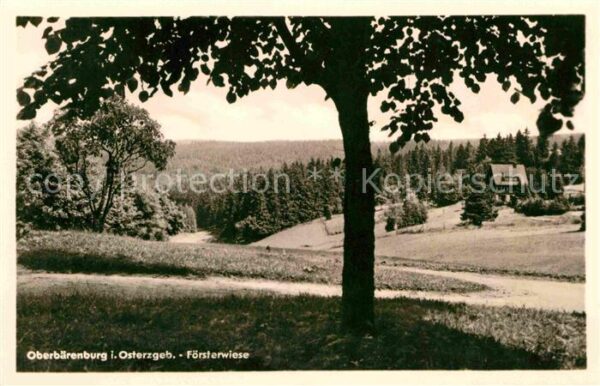 Oberbaerenburg Baerenburg Försterwiese