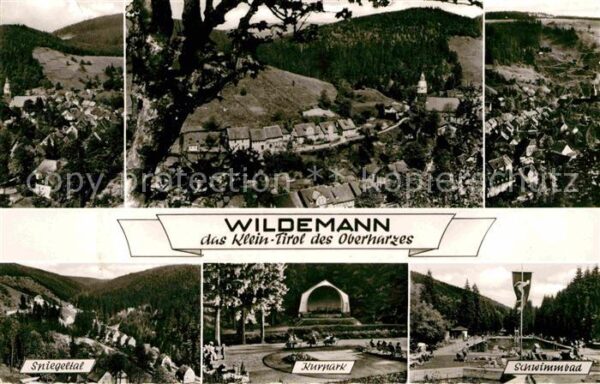 Wildemann Teilansichten Spiegeltal Kurpark Musikp