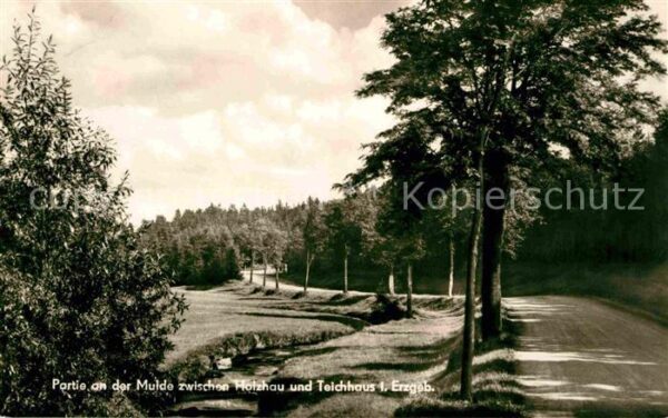 Holzhau Rechenberg-Bienenmuehle Partie an der Mulde zwischen Holzhau un