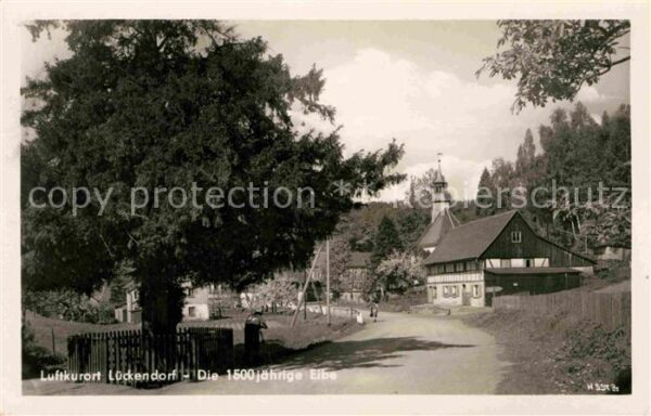 Lueckendorf 1500 jährige Eibe Luftkurort Zittauer G