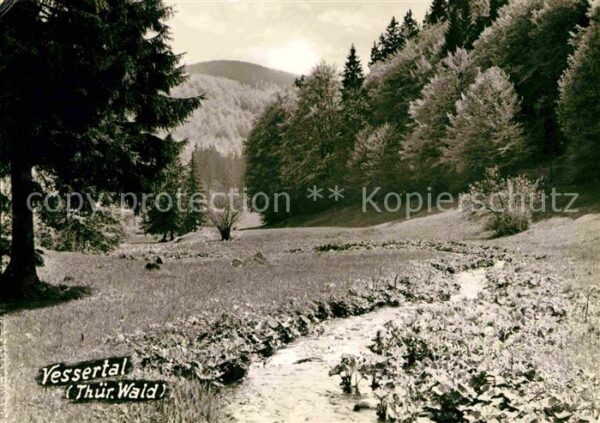 Suhl Thueringer Wald Partie im Vessertal Biosphärenreservat