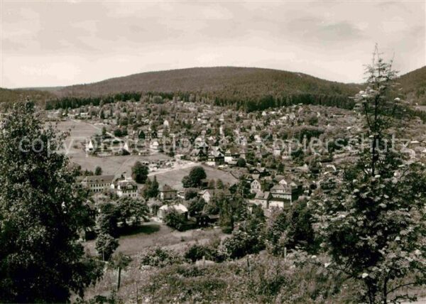 Sachsenberg-Georgenthal Panorama