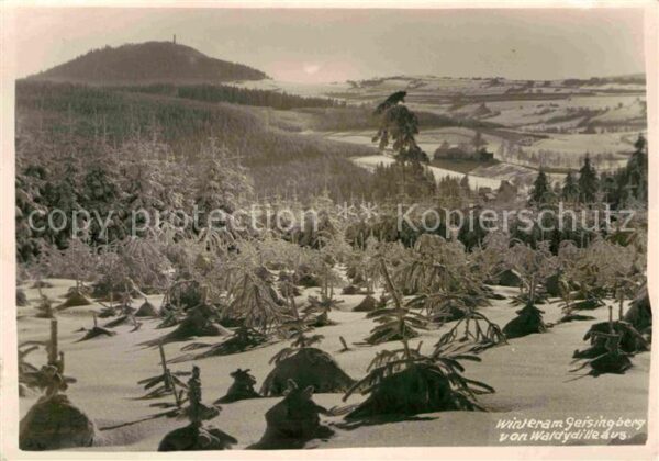 Waldidylle Winter am Geisingberg