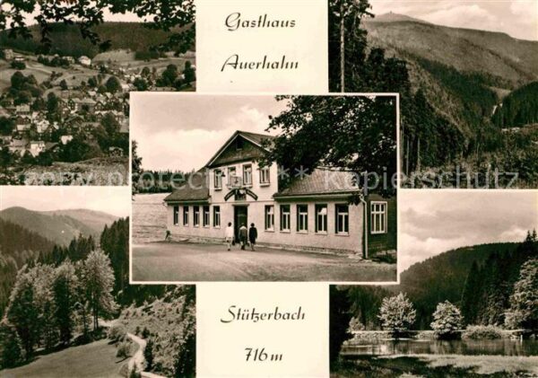 Stuetzerbach Gasthaus Auerhahn Waldpartie Landschaft