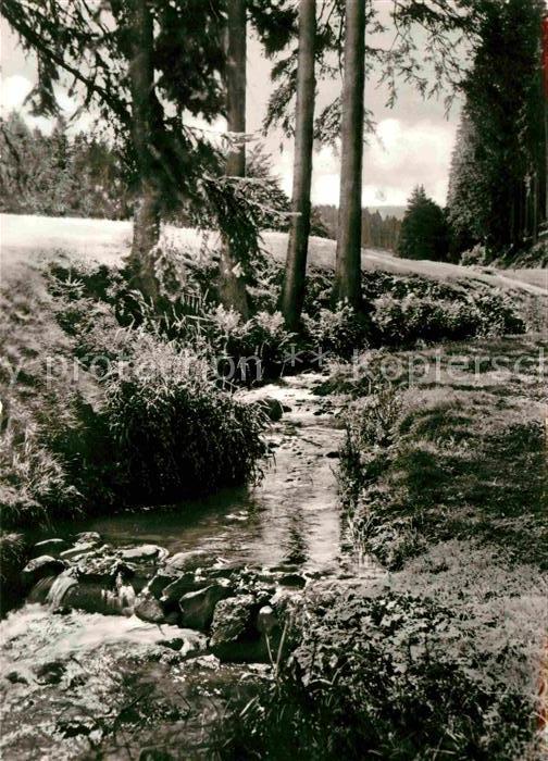 Tambach-Dietharz Partie an der Apfelstädt Wald