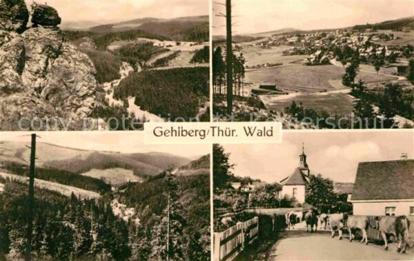Gehlberg Panorama Thüringer Wald Kuhaustrieb