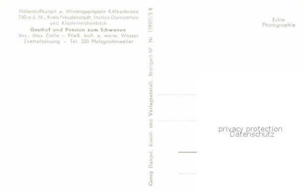 Kaelberbronn Grosse Tanne – Bild 2