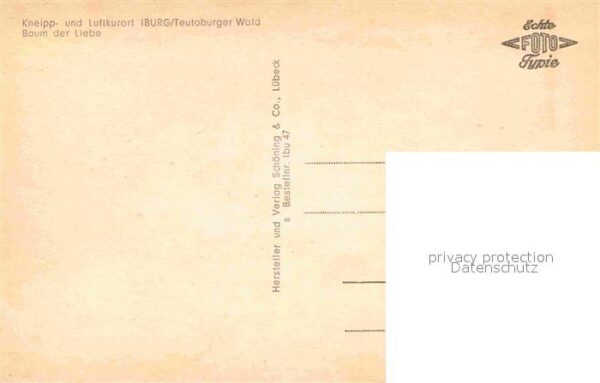 Iburg Teutoburger Wald Baum der Liebe – Bild 2