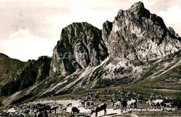 Pfronten Hochalp mit Aggenstein Almvieh Allgäuer