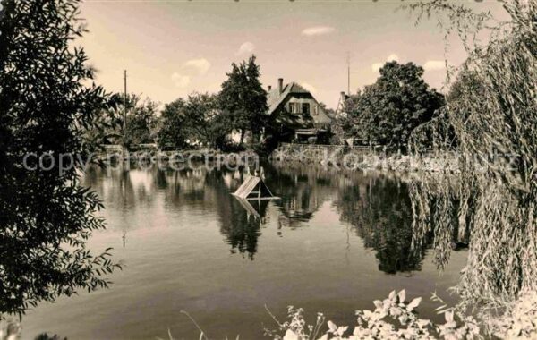 Gernrode Harz Bückemühle Schwanenteich