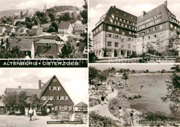 Altenberg Erzgebirge Ortsansicht Sanatorium Raupennest Walds