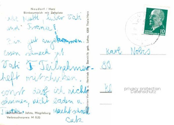 Neudorf Harzgerode Birnbaumteich mit Zeltplatz Kinderspiel – Bild 2
