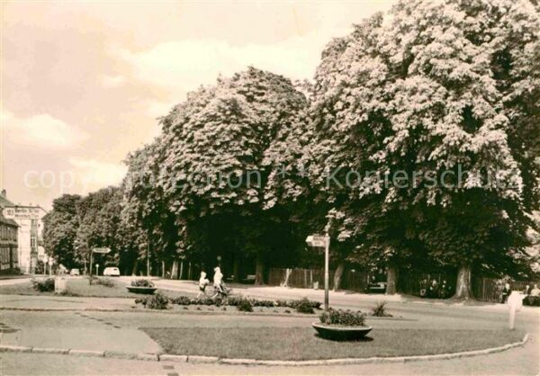 Plau See Burgplatz