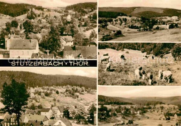 Stuetzerbach Teilansichten Landschaftspanorama Viehw