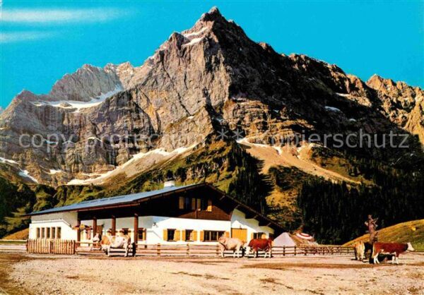 Eng Alm Rasthütte Karwendel Kühe