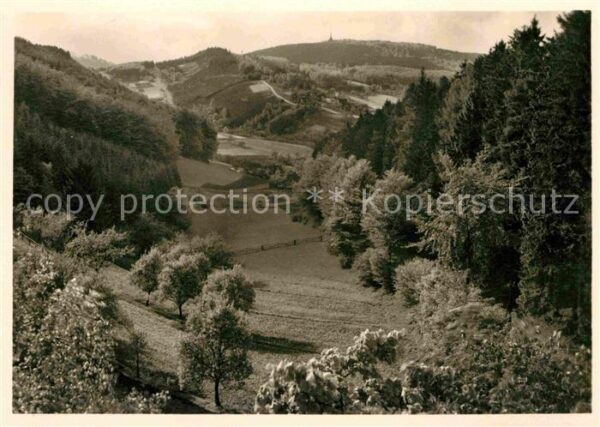 Bad Meinberg Blick vom Hangstein Teutoburger Wald Li