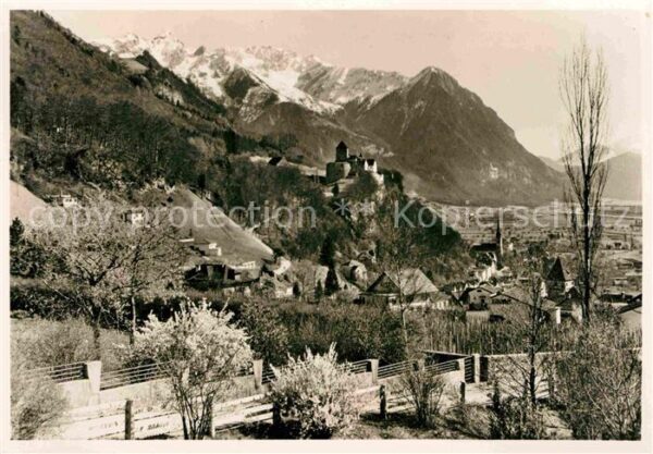 Vaduz mit Fürstlichem Schloss Alpen