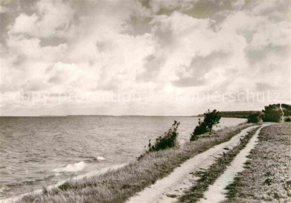 Kuehlungsborn Ostseebad Weg nach Kühlungsborn an der Küste