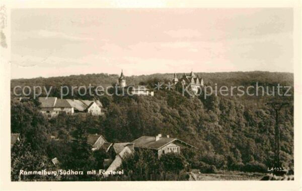 Rammelburg Suedharz Ansicht mit Försterei