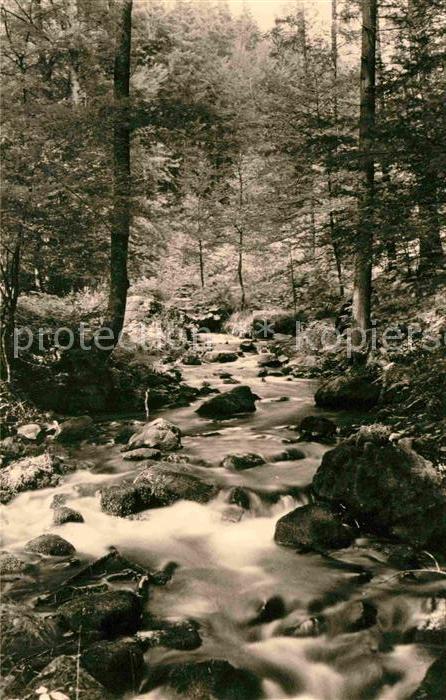 Stutenhaus Adlersberg Umgebung Vessertal Waldpartie Bachlauf