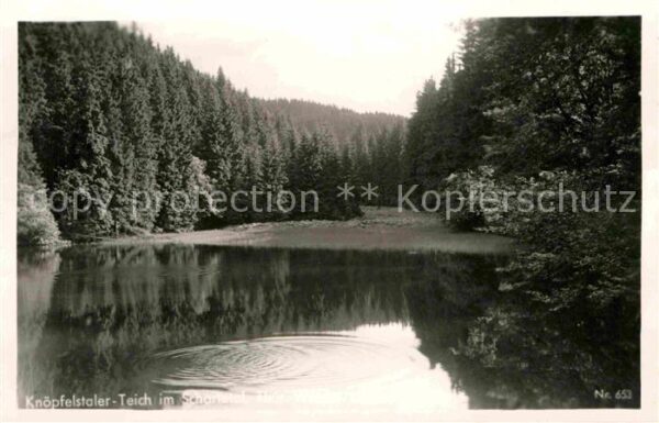Stuetzerbach Knöpfelstaler Teich im Schortetal Thüri
