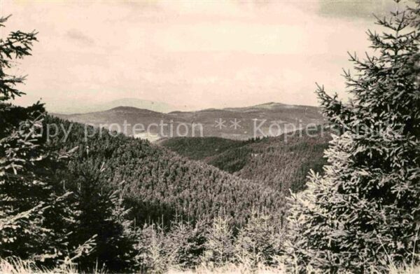 Schmiedefeld Rennsteig Panorama Blick vom Rennsteig