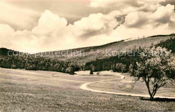 Schmiedefeld Rennsteig Landschaftspanorama Oberes Vessertal