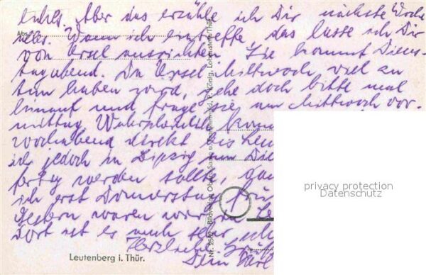 Leutenberg Thueringen Gesamtansicht mit Schloss Friedensburg – Bild 2