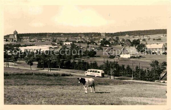 Zinnwald-Georgenfeld Panorama Viehweide Kuh Autobus