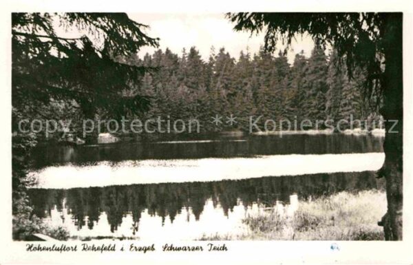 Rehefeld-Zaunhaus Schwarzer Teich Wald Höhenluftkurort
