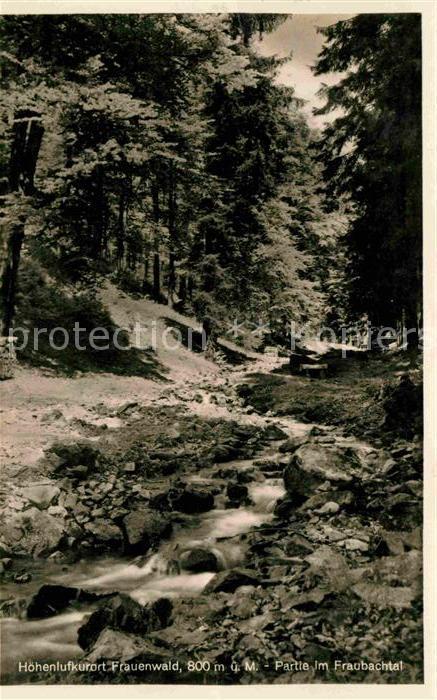 Frauenwald Thueringen Partie im Fraubachtal Bachlauf Waldpart
