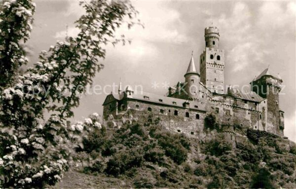 Braubach Rhein Marksburg Baumblüte